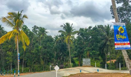 Blue Line දිවිතුරා